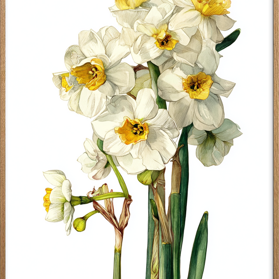 Suset fra hvide klokker - Oak Frame, No Border