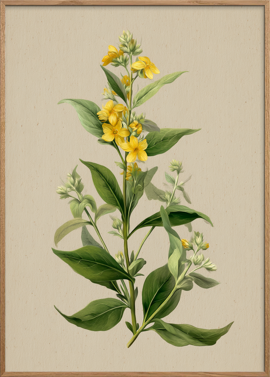 Viskende gul symfoni - Oak Frame, No Border