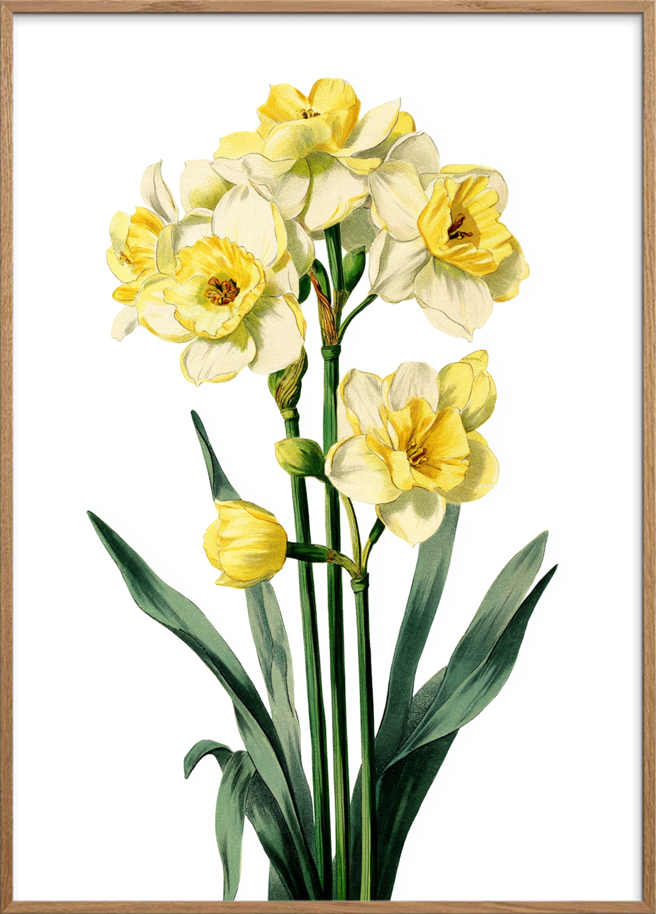 Solens blide hvisken - Oak Frame, No Border