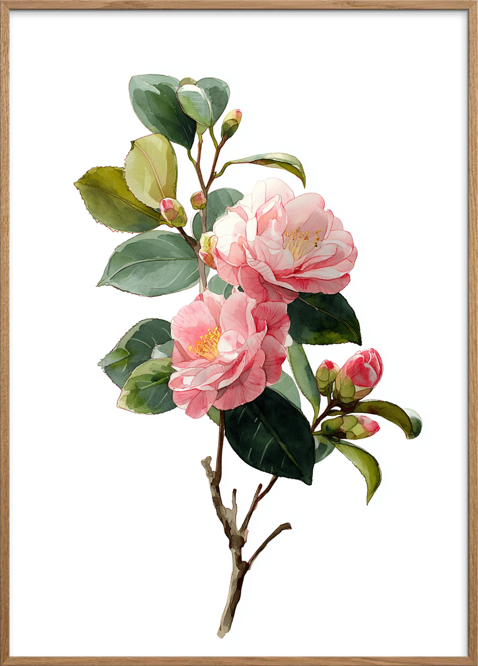 Silkesus i morgenlys - Oak Frame, No Border