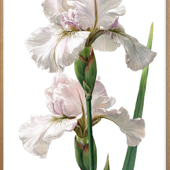 Silkens kølige berøring - Oak Frame, No Border