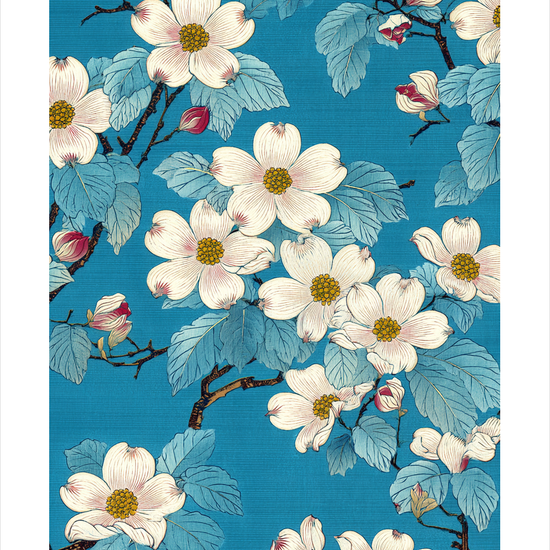 Honningens stille klang - No Frame, With White Border