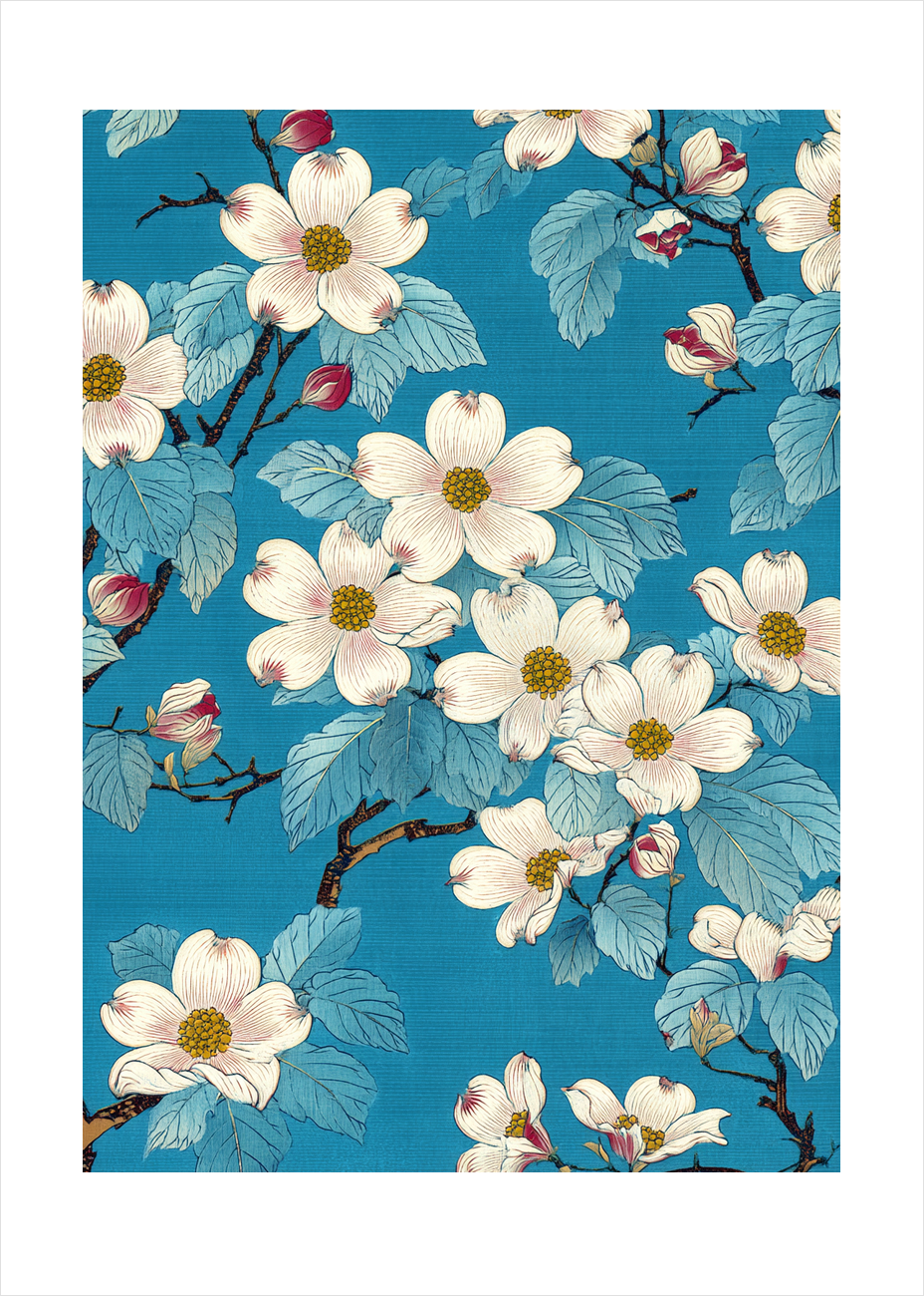 Honningens stille klang - No Frame, With White Border