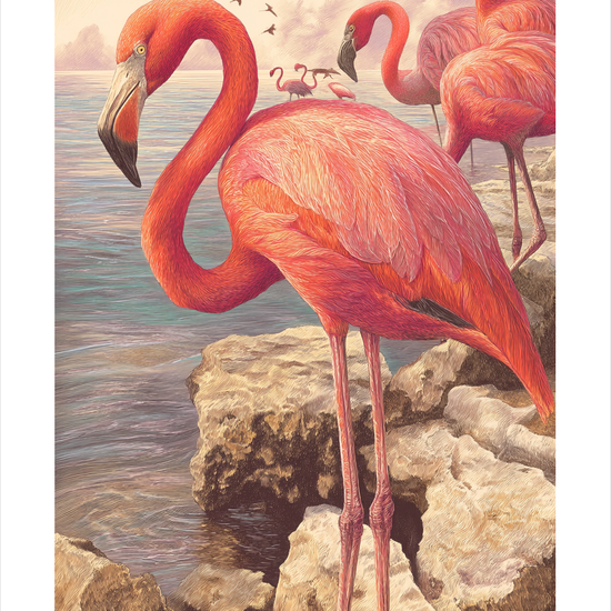 Havet hvisker i fjer - No Frame, With White Border