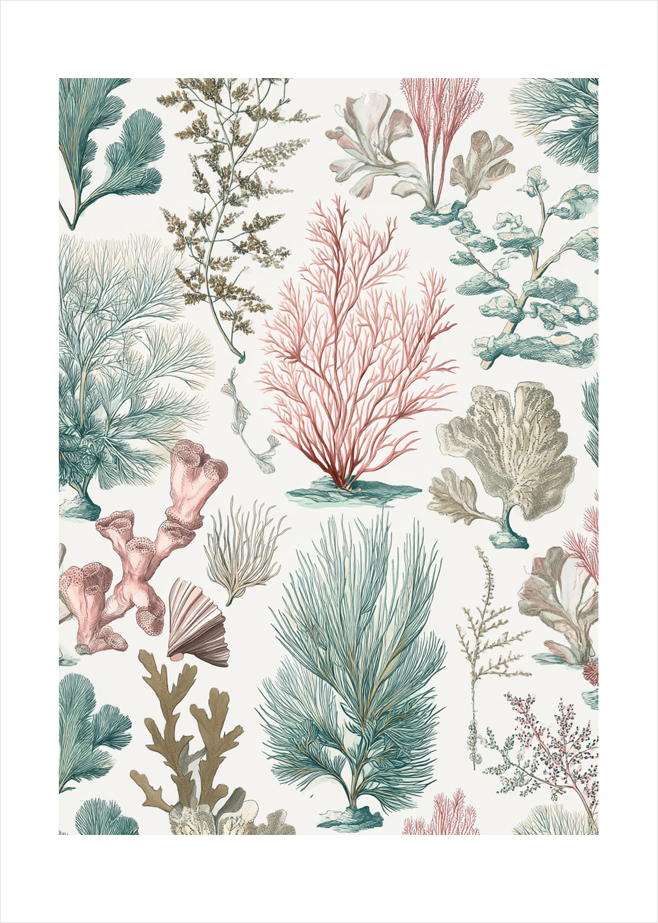 Salt på tungen - No Frame, With White Border