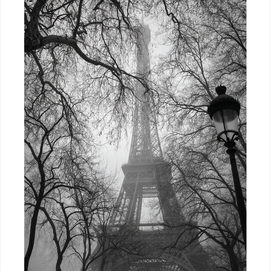 Tårnets dæmpede hvisken - No Frame, With White Border