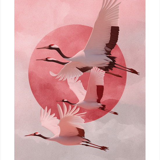 Solens sagte kald - No Frame, With White Border