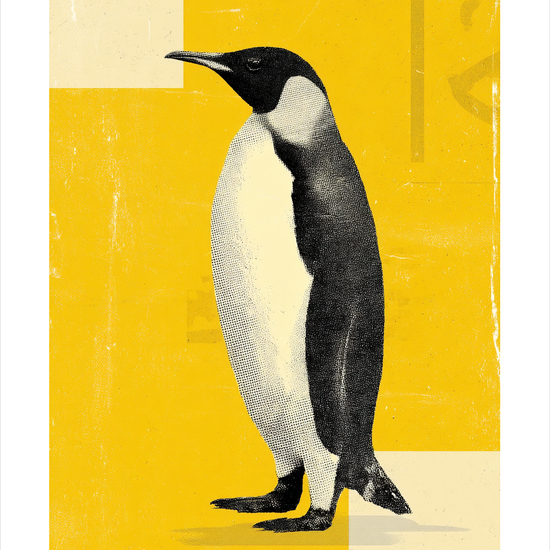 Isens stille klang - No Frame, With White Border