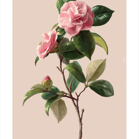 Sus af silke - No Frame, With White Border