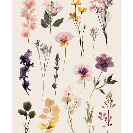 Hvisken fra tørret flora - No Frame, With White Border