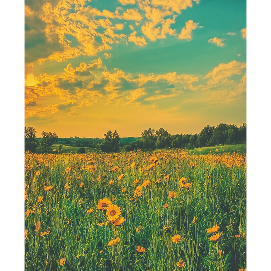 Sommerens store indånding - No Frame, With White Border