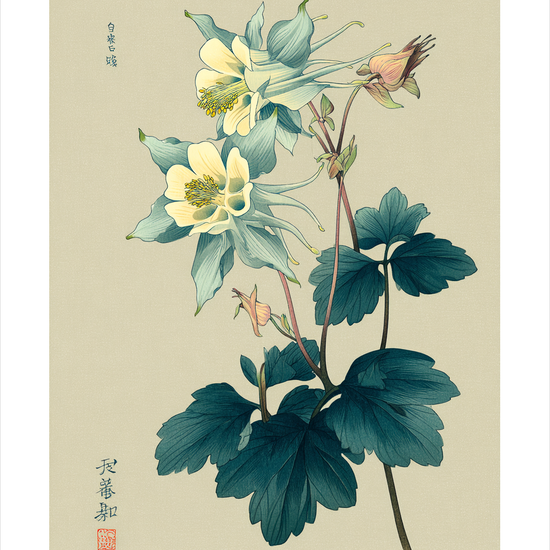 Silkeblød blågrøn hvisken - No Frame, With White Border