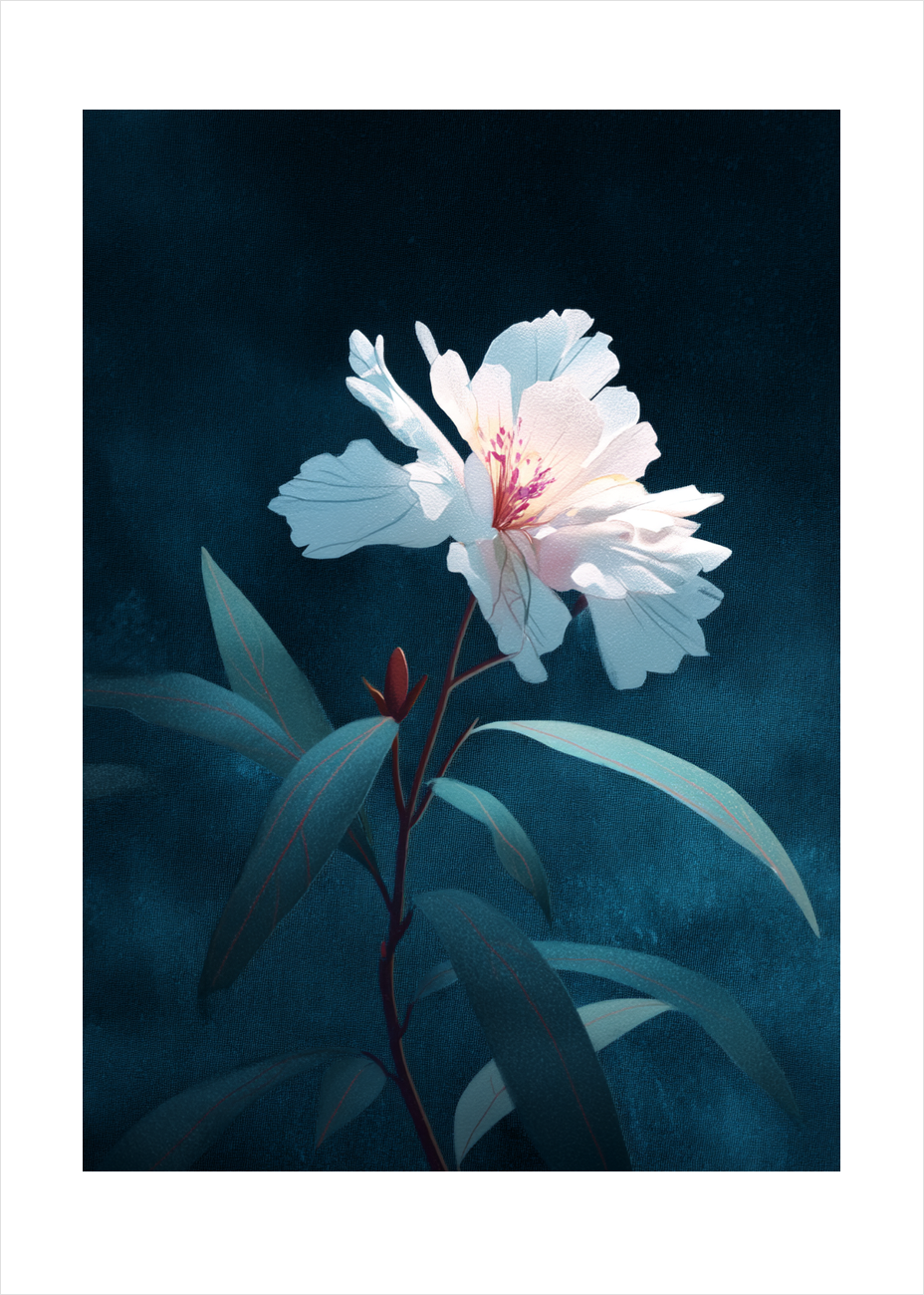 Silkesus i måneskin - No Frame, With White Border