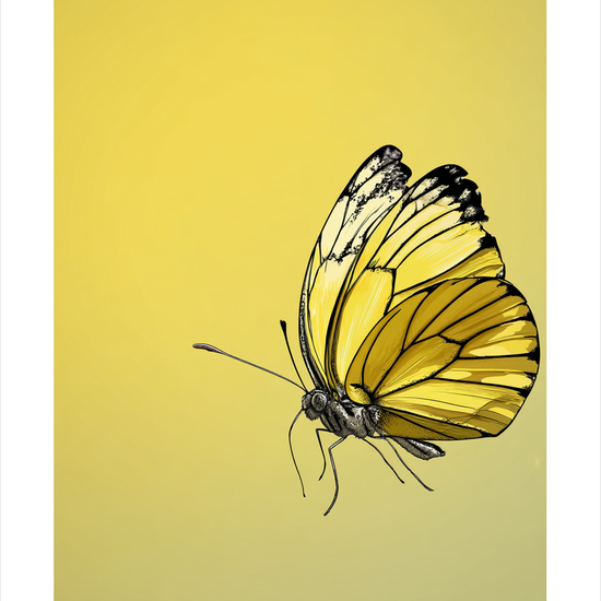 Vingernes honningduft - No Frame, With White Border