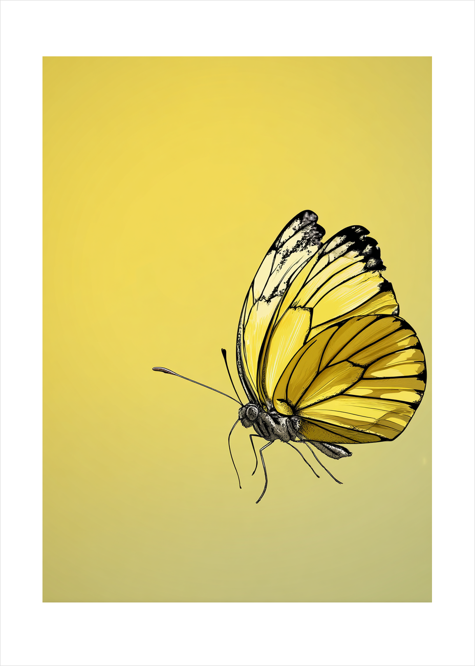 Vingernes honningduft - No Frame, With White Border