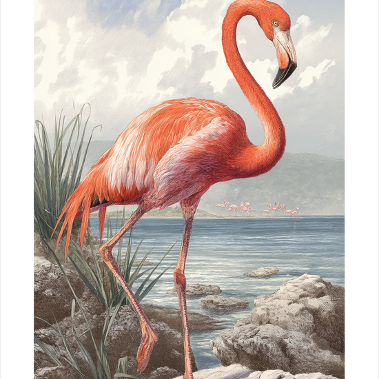 Saltens sagte klagesang - No Frame, With White Border