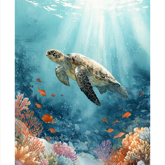 Skildpaddens tyste sang - No Frame, With White Border