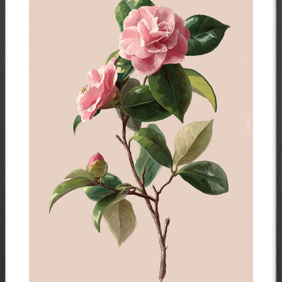 Sus af silke - Black Frame, With White Border