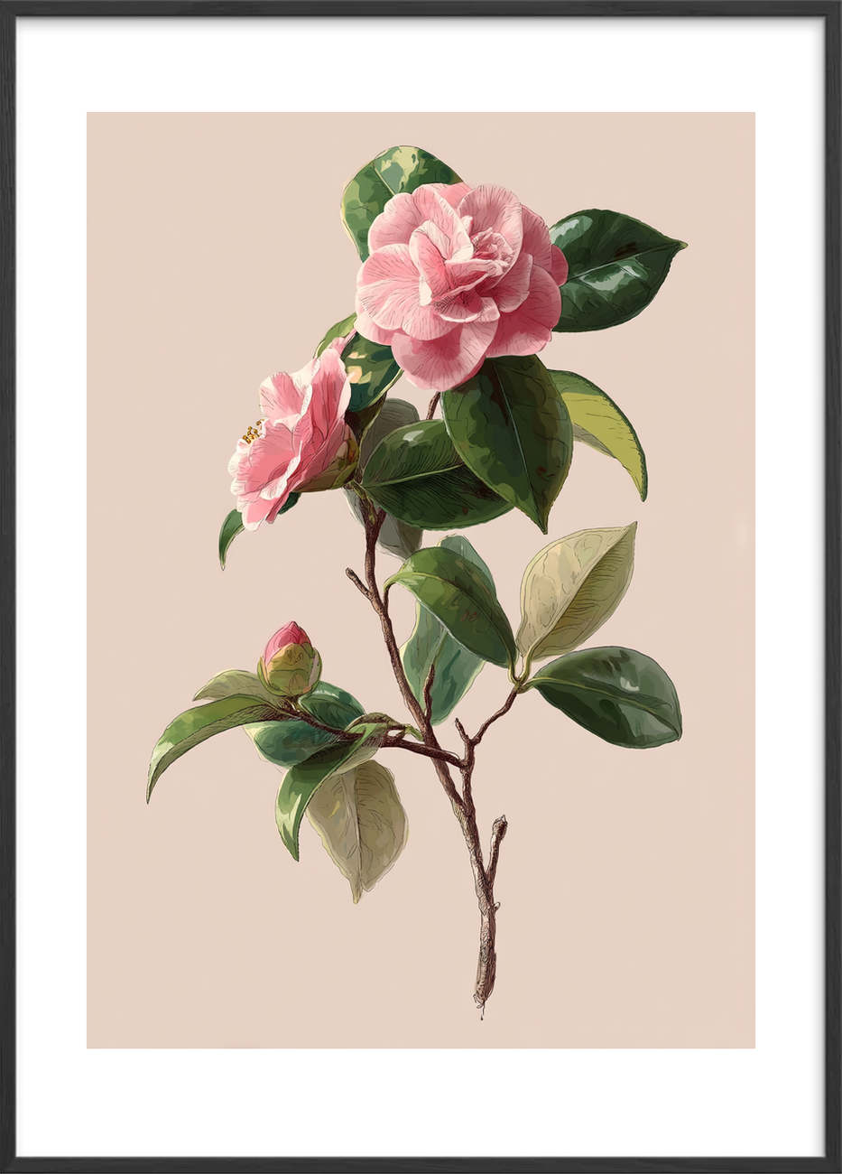 Sus af silke - Black Frame, With White Border