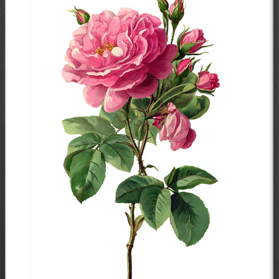 Sus af fløjsblød duft - Black Frame, With White Border