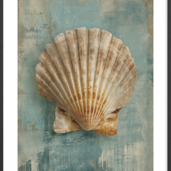 Havsus i kammuslingens skal - Black Frame, With White Border