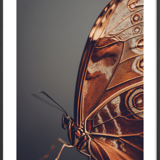 Hvisken fra fløjlsvingen - Black Frame, With White Border