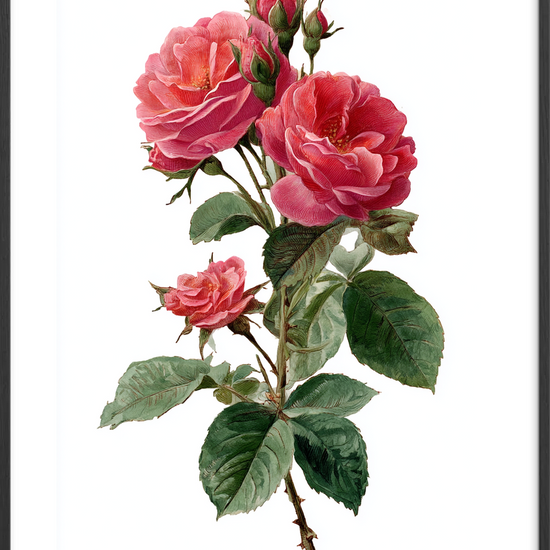 Duften af længsel - Black Frame, With White Border