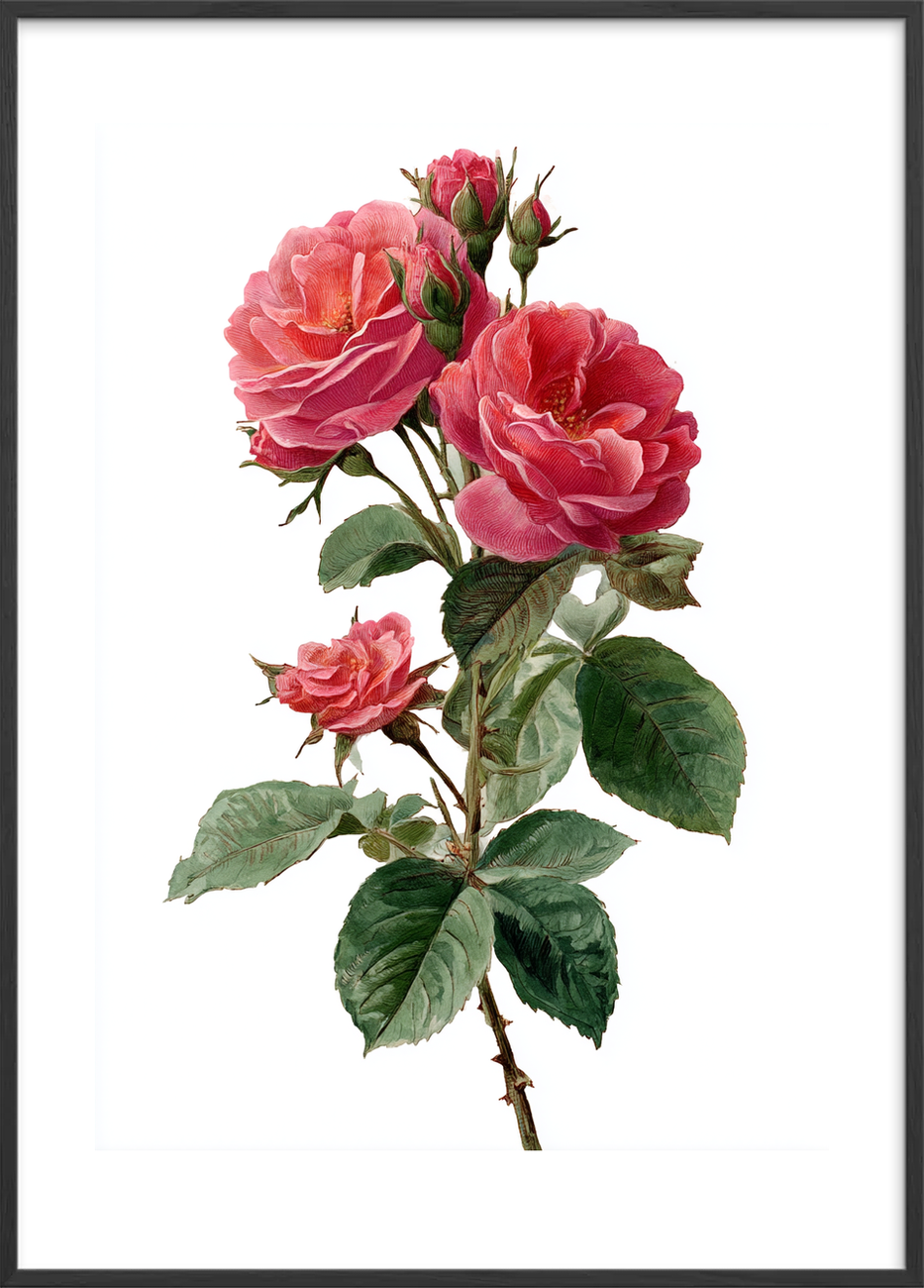 Duften af længsel - Black Frame, With White Border