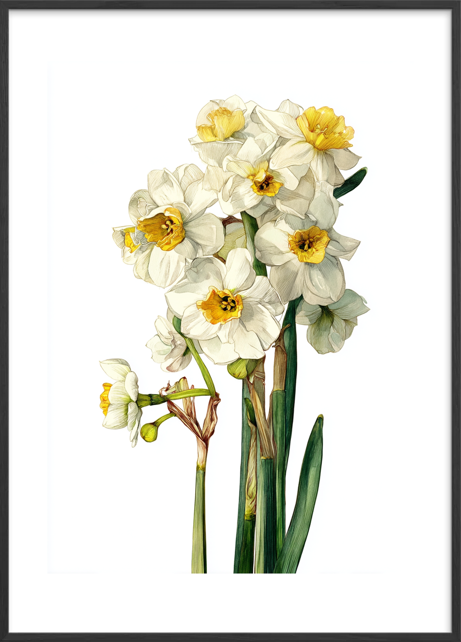 Suset fra hvide klokker - Black Frame, With White Border