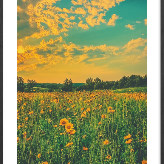 Sommerens store indånding - Black Frame, With White Border