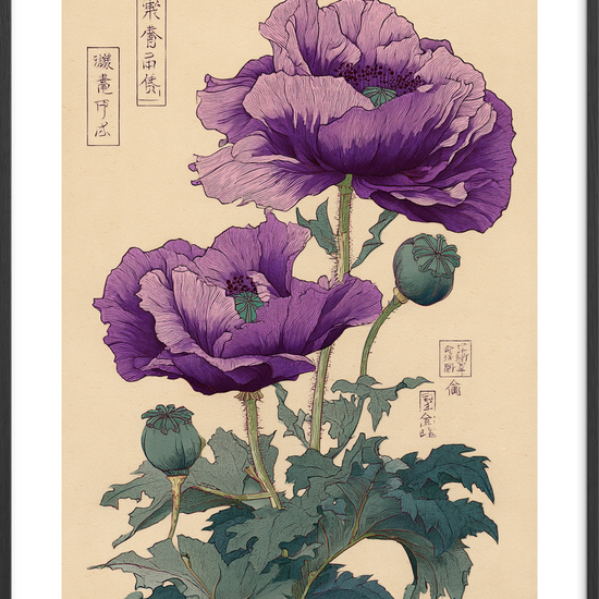 Hvisken fra lilla kronblade - Black Frame, With White Border