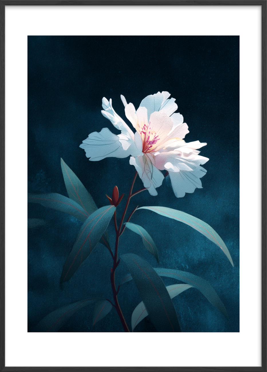 Silkesus i måneskin - Black Frame, With White Border