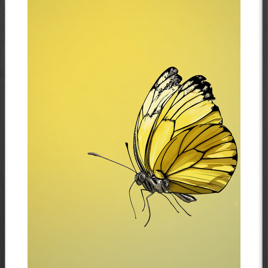 Vingernes honningduft - Black Frame, With White Border