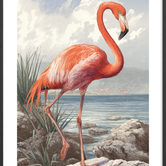 Saltens sagte klagesang - Black Frame, With White Border