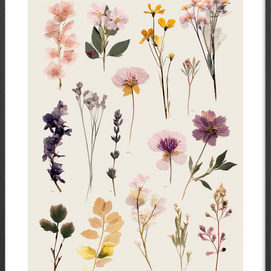 Hvisken fra tørret flora - Black Frame, With White Border