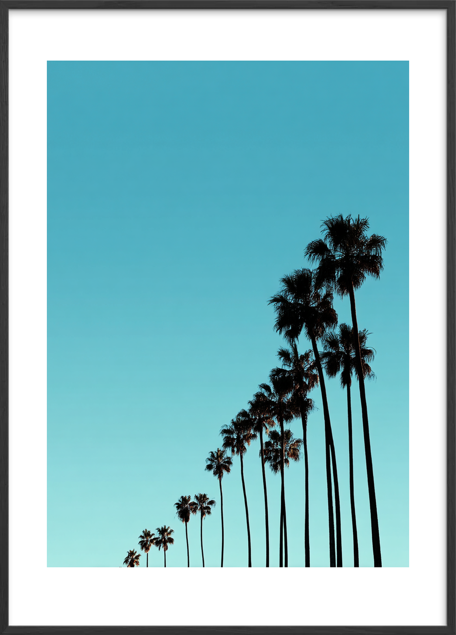Sus af sol og salt - Black Frame, With White Border