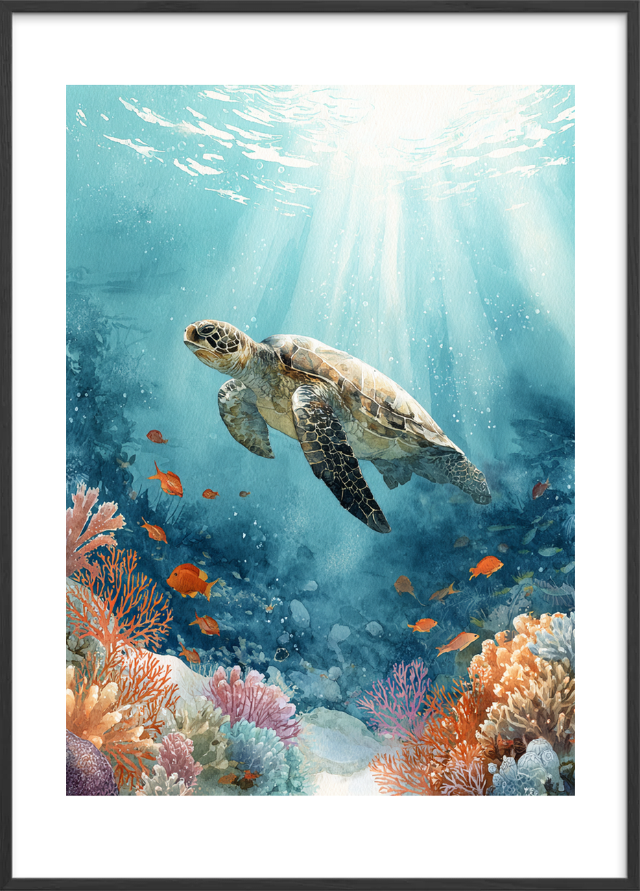 Skildpaddens tyste sang - Black Frame, With White Border