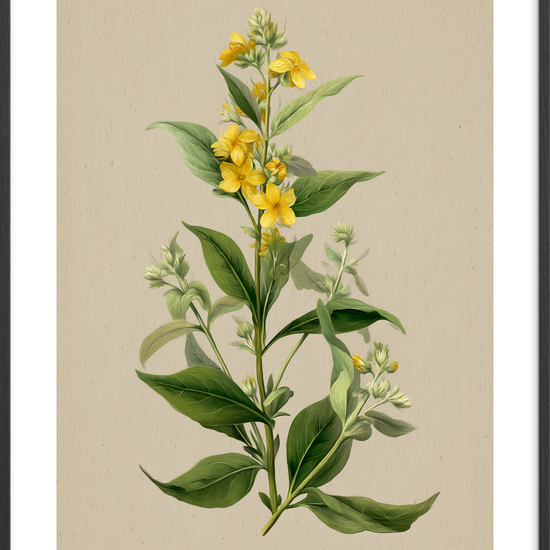 Viskende gul symfoni - Black Frame, With White Border