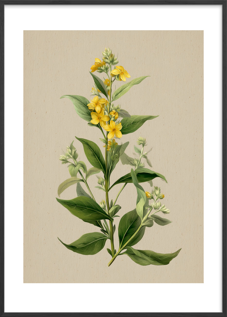 Viskende gul symfoni - Black Frame, With White Border