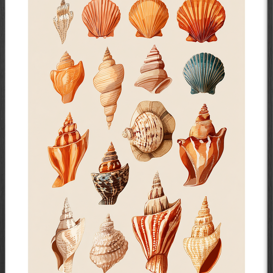 Havets hvisken i skaller - Black Frame, With White Border