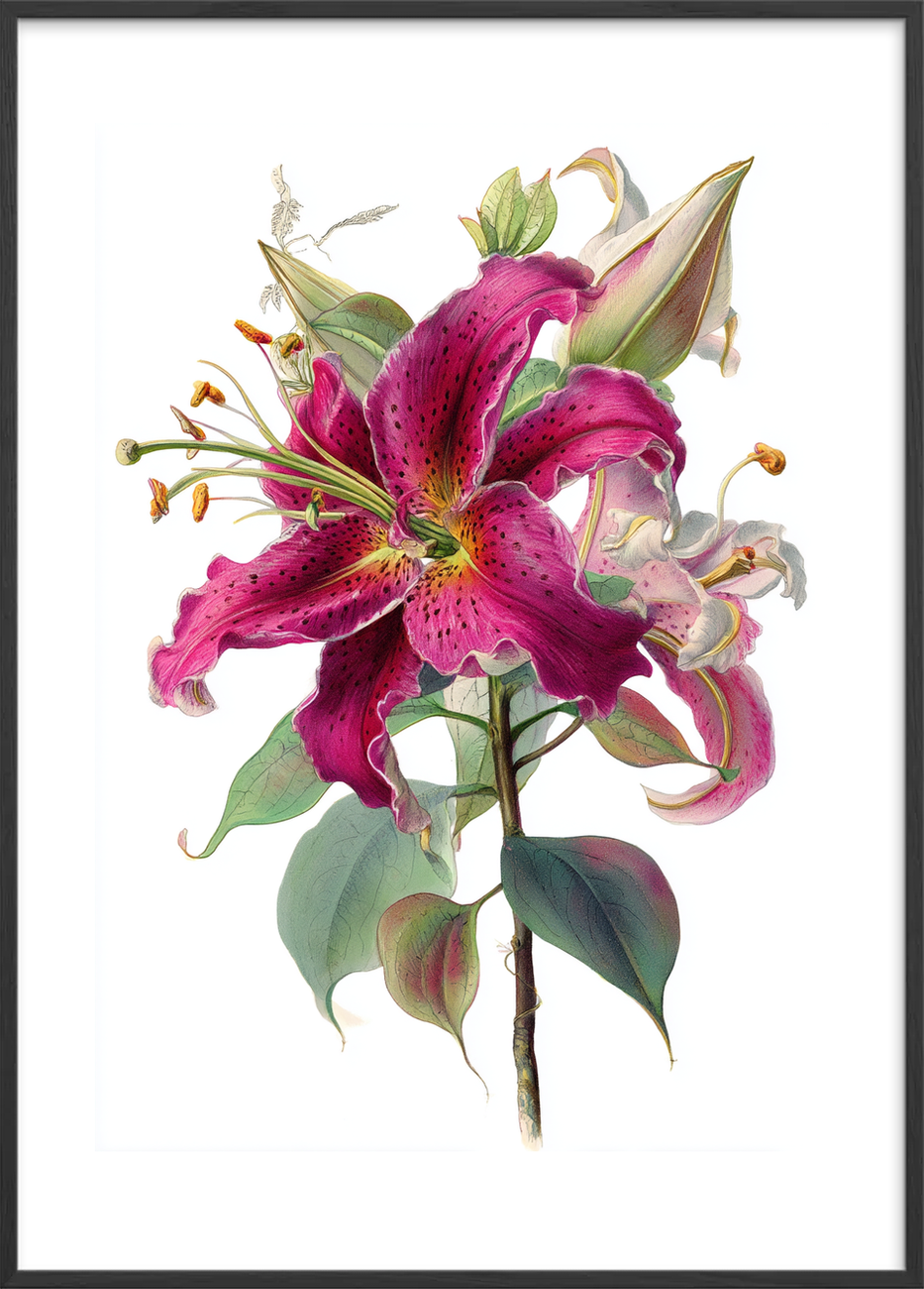 Hviskende sødme i blomst - Black Frame, With White Border