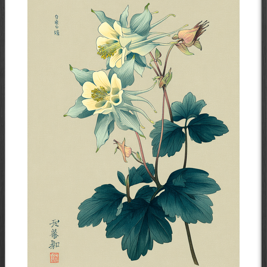 Silkeblød blågrøn hvisken - Black Frame, With White Border