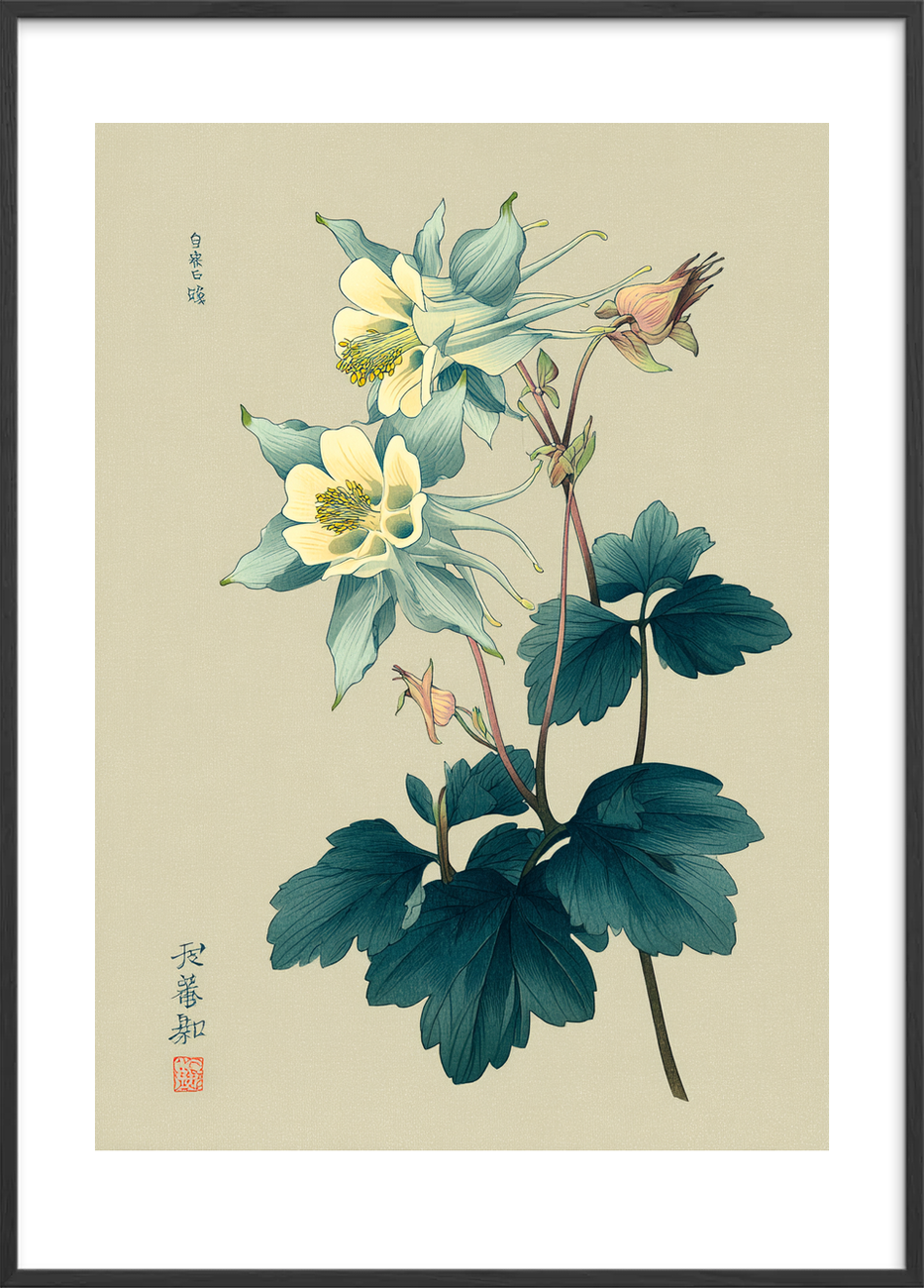 Silkeblød blågrøn hvisken - Black Frame, With White Border