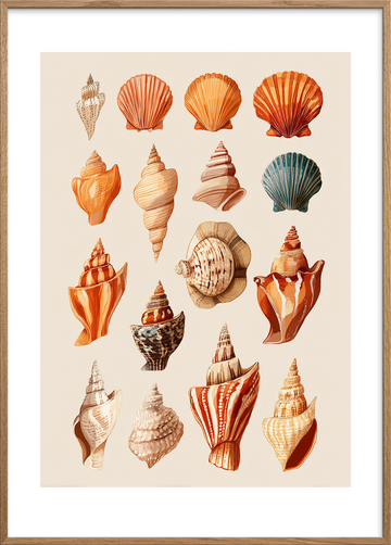 Havets hvisken i skaller - Oak Frame, With White Border