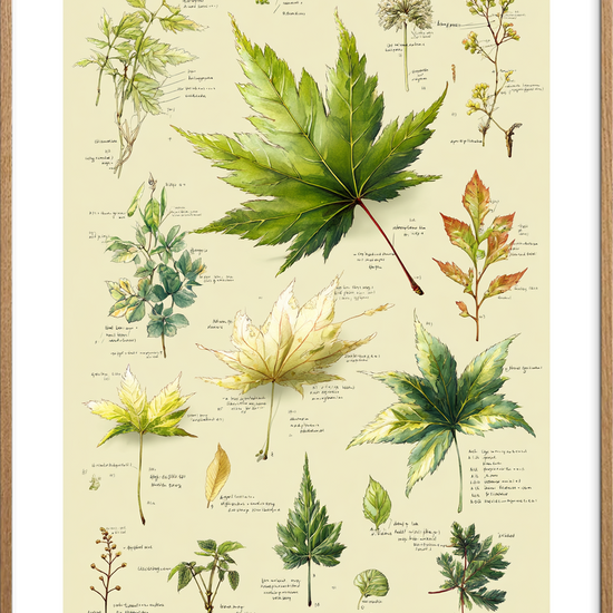 Grøn hvisken på papir - Oak Frame, With White Border