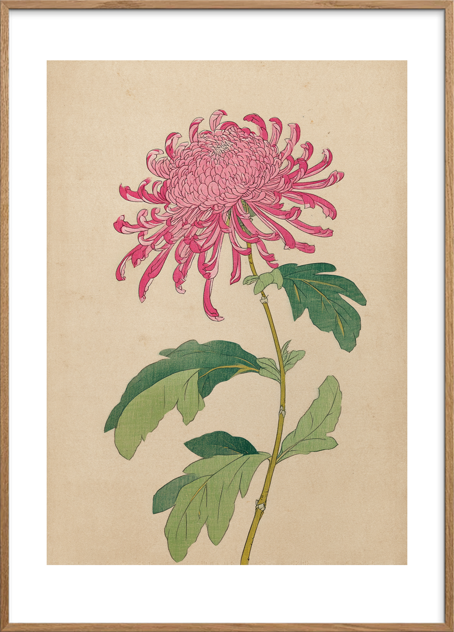 Silkesus fra krøllede bånd - Oak Frame, With White Border