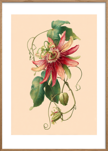 Smygende summen af sommer - Oak Frame, With White Border