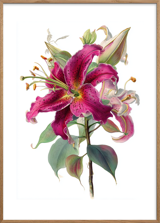 Hviskende sødme i blomst - Oak Frame, With White Border