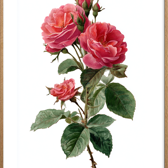 Duften af længsel - Oak Frame, With White Border