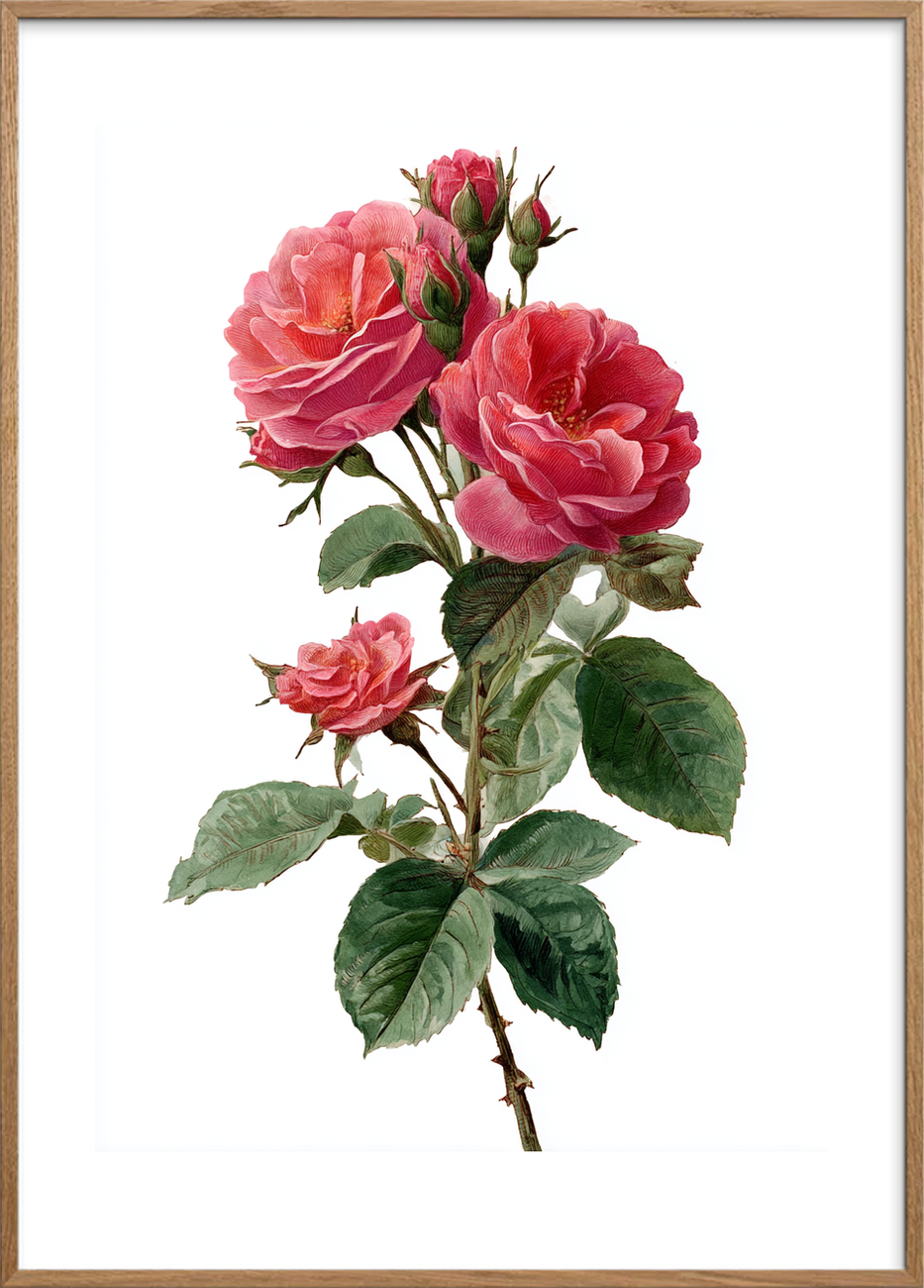 Duften af længsel - Oak Frame, With White Border